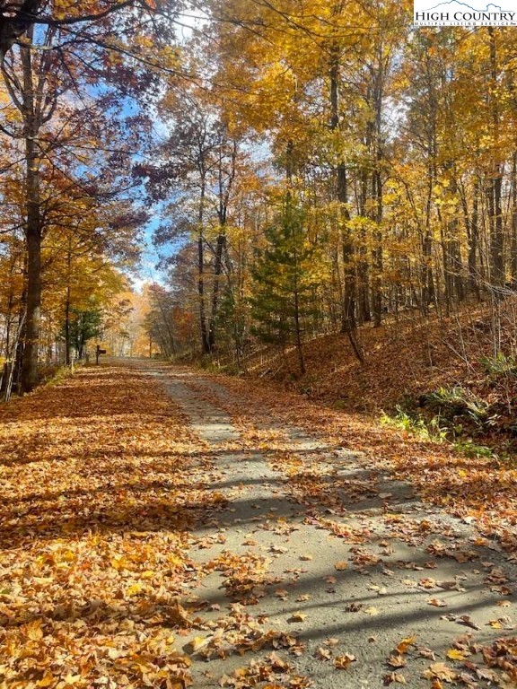 Lot 29 Winter Street Jefferson, NC 28640 - Photo 4 of 13 a view of a yard