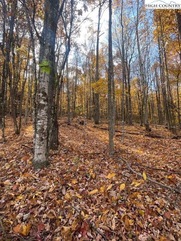 Lot 29 Winter Street Jefferson, NC 28640 - Photo 6 of 13 a backyard of a house with lots of green space