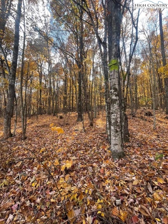 Lot 29 Winter Street Jefferson, NC 28640 - Photo 7 of 13 a view of outdoor space with trees