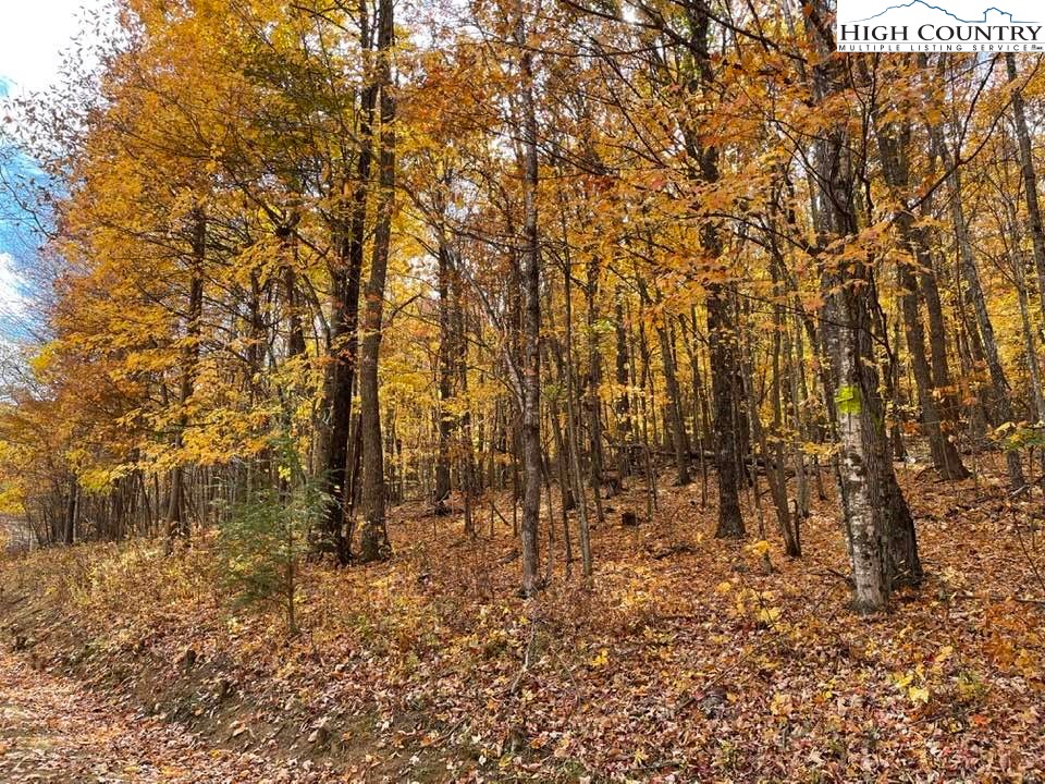 Lot 29 Winter Street Jefferson, NC 28640 - Photo 8 of 13 a view of covered with green space