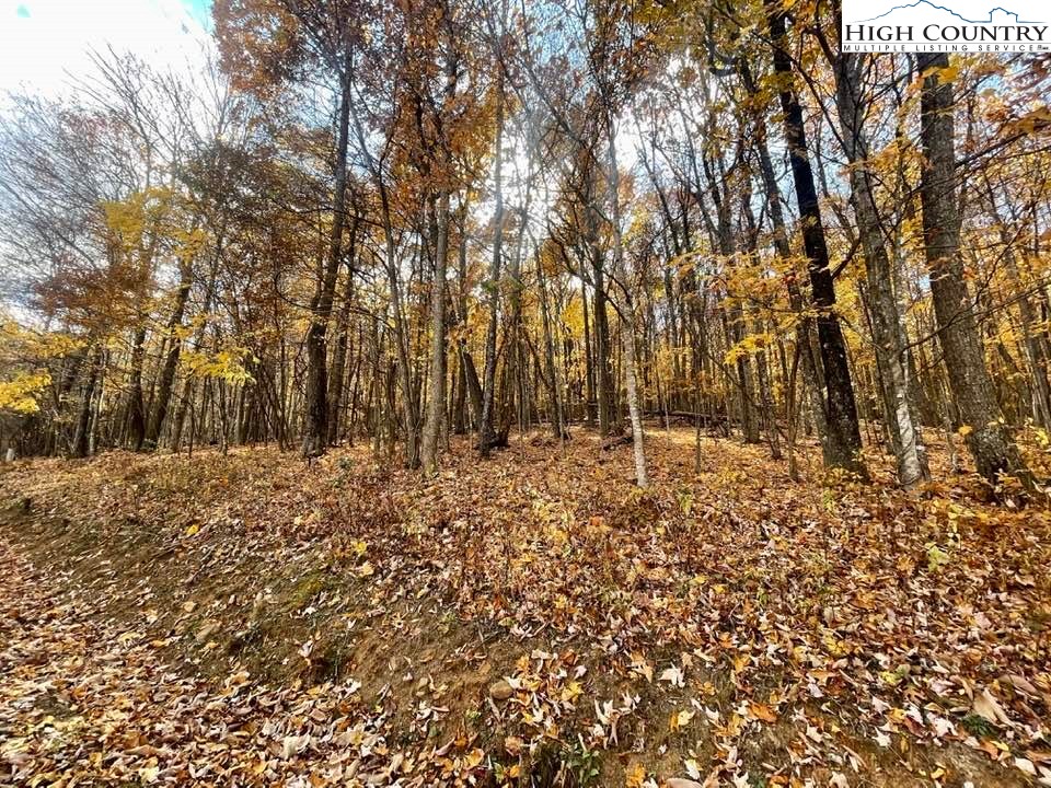 Lot 29 Winter Street Jefferson, NC 28640 - Photo 9 of 13 a view of outdoor space