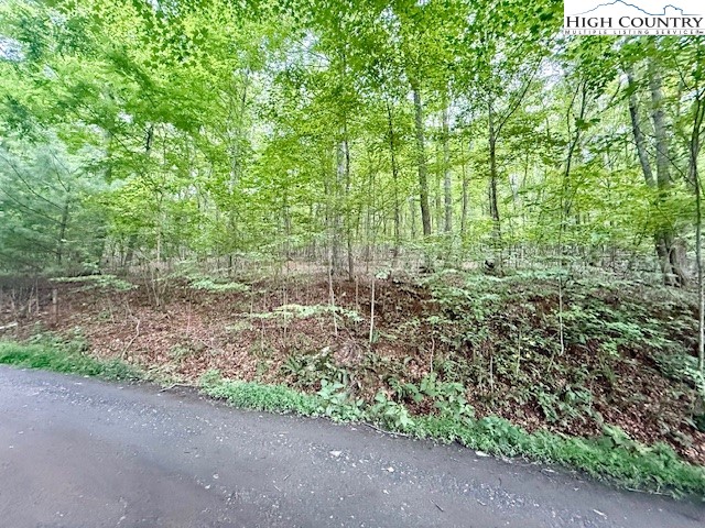 Lot 29 Winter Street Jefferson, NC 28640 - Photo 10 of 13 a view of a garden with plants