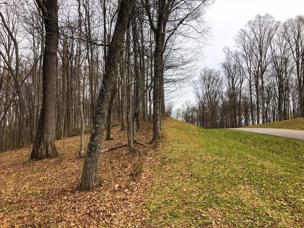 Lot 113 Clifton Ridge Road, Unit 113 Abingdon, VA 24211 - Photo 2 of 8 Gallery Image 2