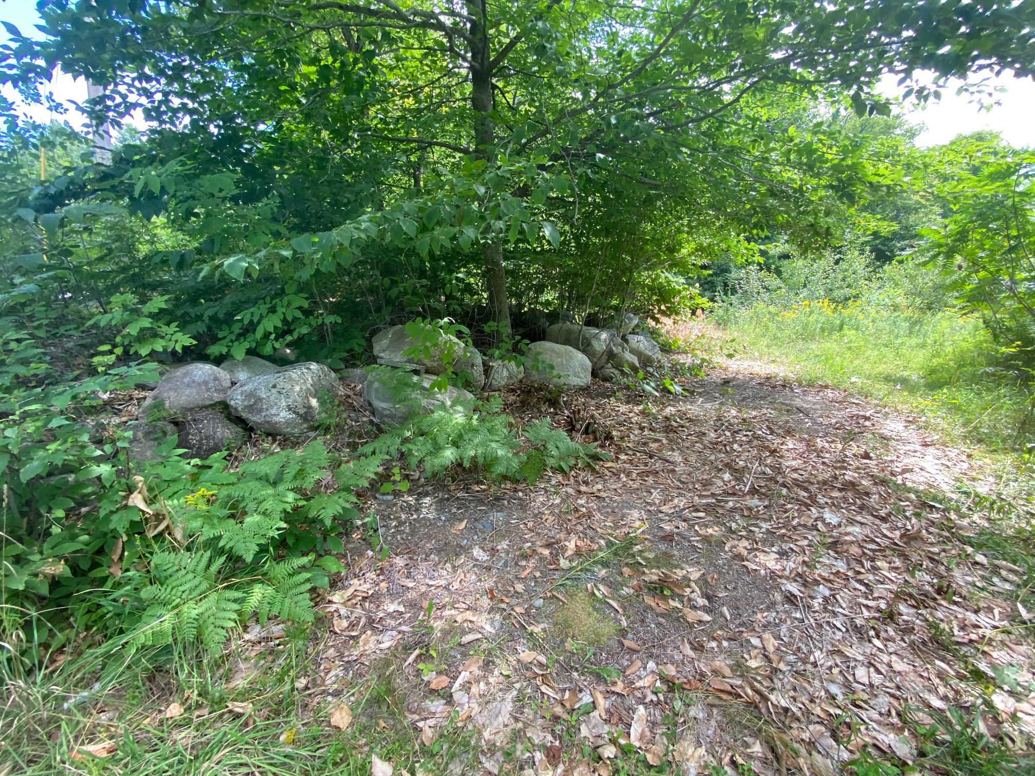 87 Dogtown Road Palmyra, ME 04965 - Photo 9 of 10 9