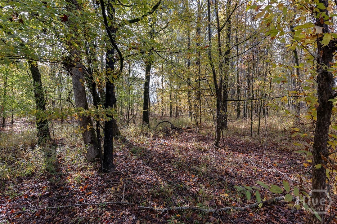 0 New Hope Vesta Road Carlton, GA 30627 - Photo 11 of 28