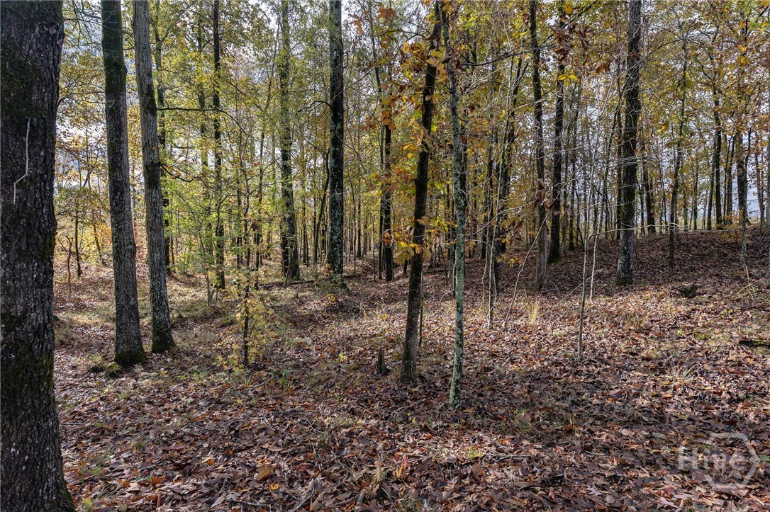 0 New Hope Vesta Road Carlton, GA 30627 - Photo 12 of 28