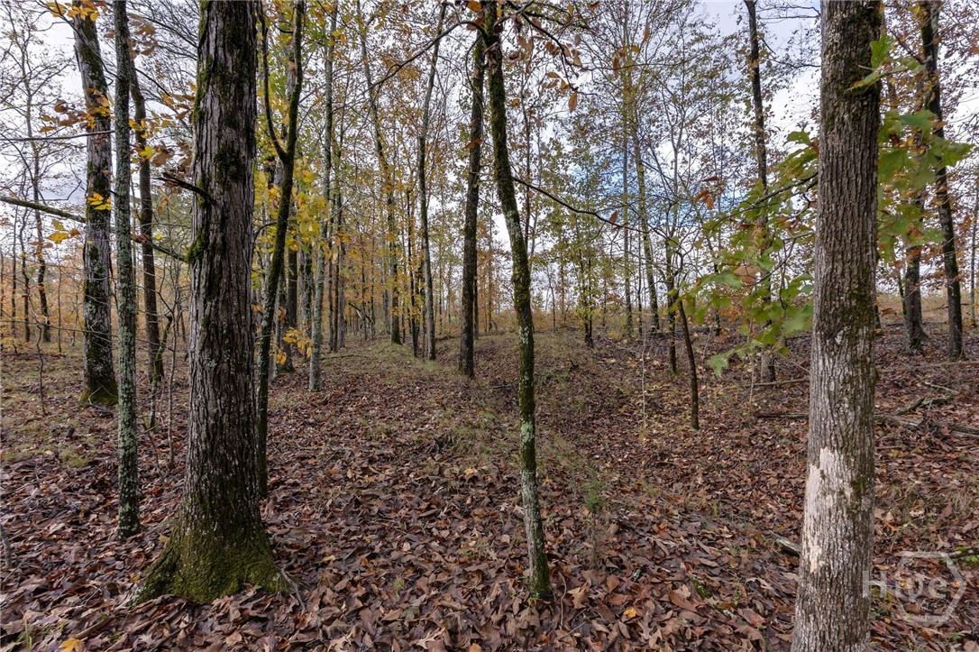 0 New Hope Vesta Road Carlton, GA 30627 - Photo 13 of 28