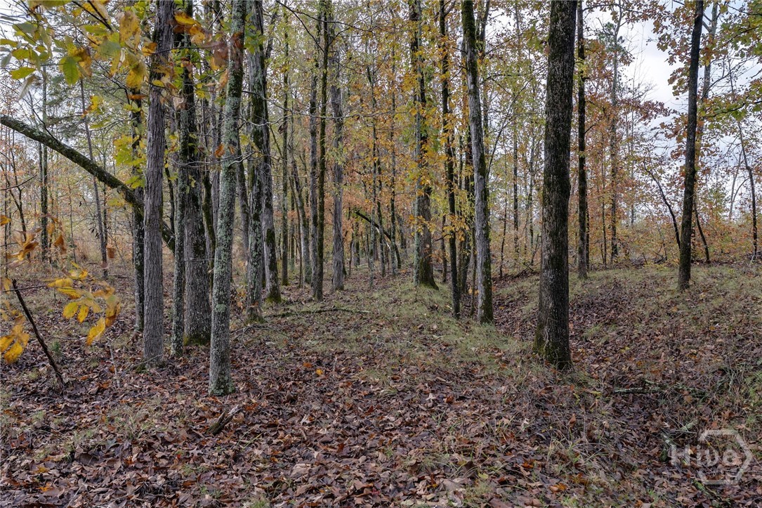 0 New Hope Vesta Road Carlton, GA 30627 - Photo 14 of 28