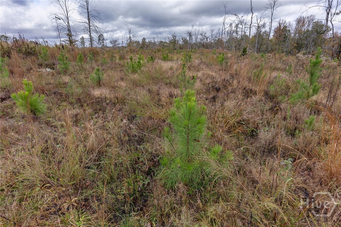 0 New Hope Vesta Road Carlton, GA 30627 - Photo 15 of 28