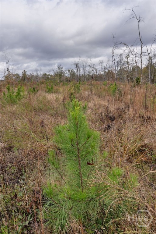 0 New Hope Vesta Road Carlton, GA 30627 - Photo 16 of 28