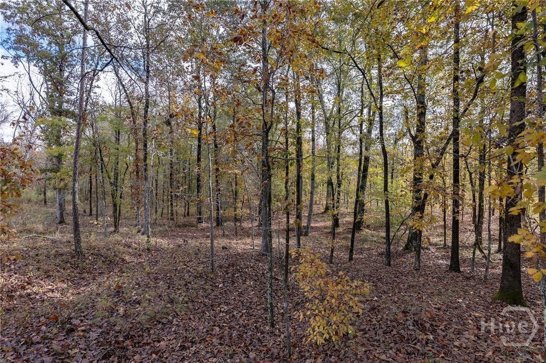 0 New Hope Vesta Road Carlton, GA 30627 - Photo 17 of 28