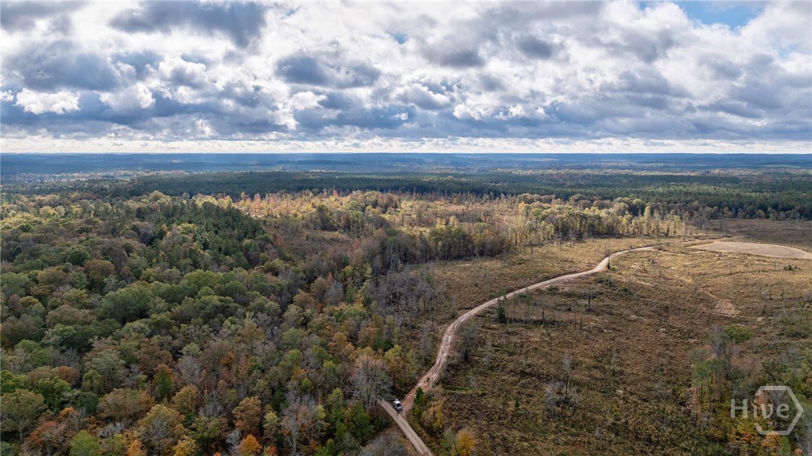 0 New Hope Vesta Road Carlton, GA 30627 - Photo 18 of 28