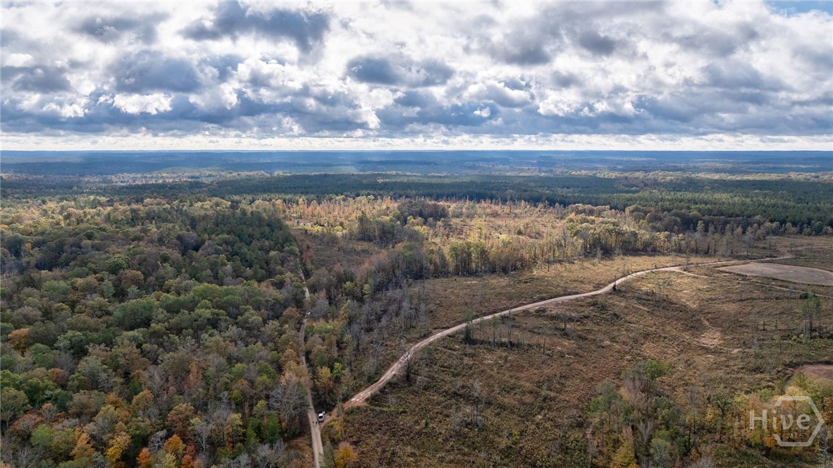 0 New Hope Vesta Road Carlton, GA 30627 - Photo 19 of 28
