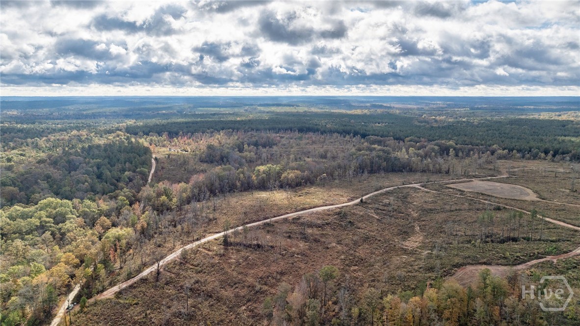 0 New Hope Vesta Road Carlton, GA 30627 - Photo 20 of 28