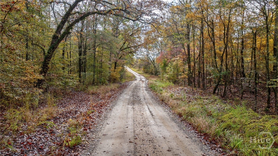 0 New Hope Vesta Road Carlton, GA 30627 - Photo 2 of 28