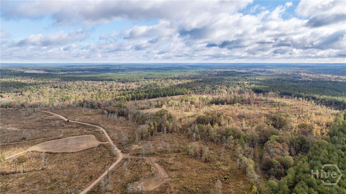 0 New Hope Vesta Road Carlton, GA 30627 - Photo 21 of 28
