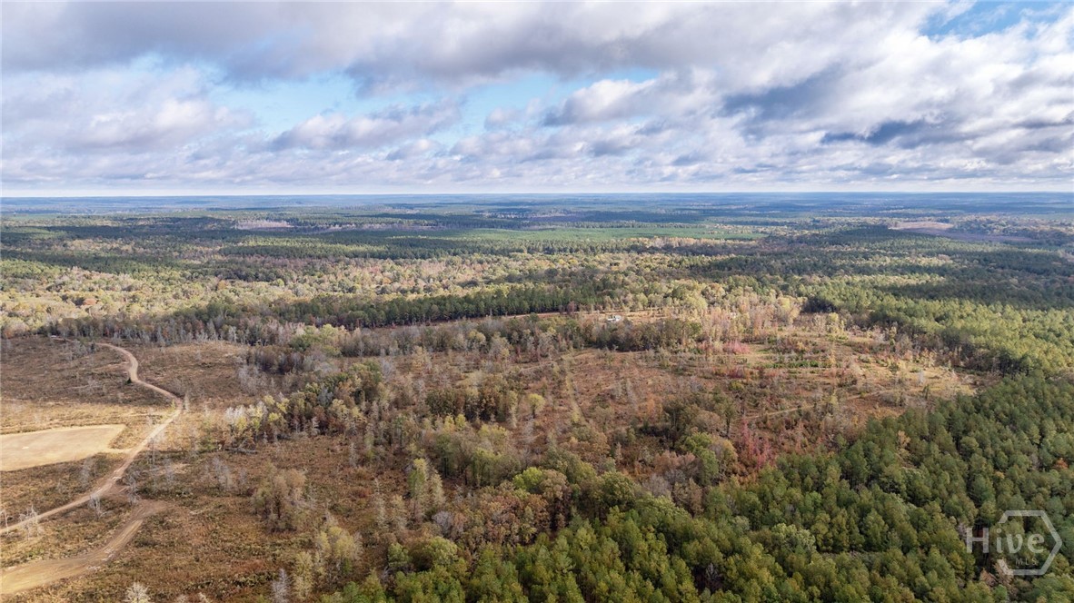 0 New Hope Vesta Road Carlton, GA 30627 - Photo 22 of 28