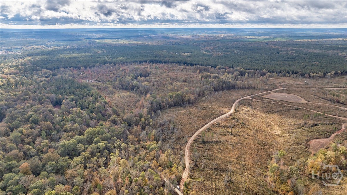 0 New Hope Vesta Road Carlton, GA 30627 - Photo 23 of 28
