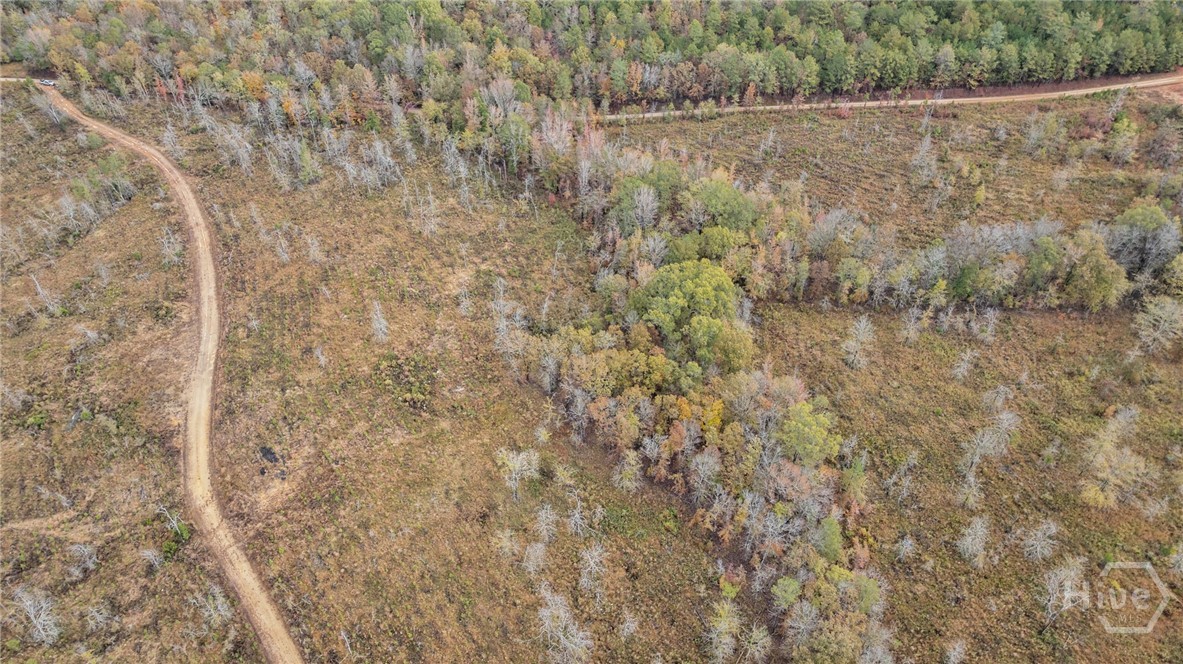 0 New Hope Vesta Road Carlton, GA 30627 - Photo 25 of 28