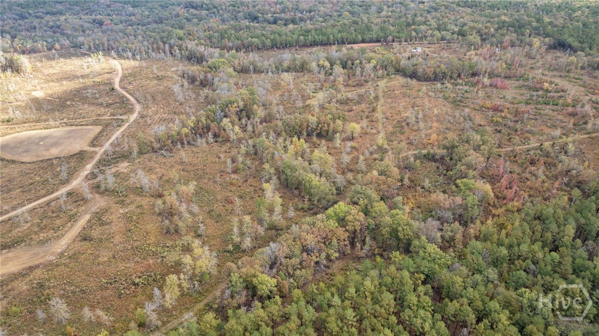 0 New Hope Vesta Road Carlton, GA 30627 - Photo 27 of 28