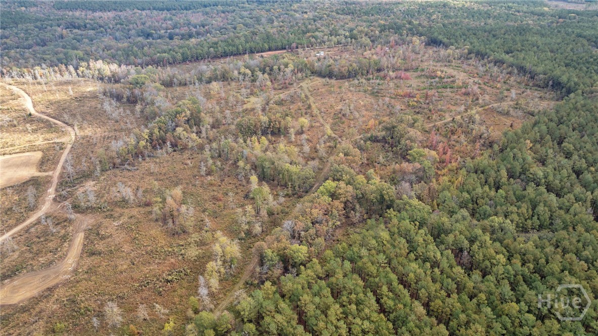 0 New Hope Vesta Road Carlton, GA 30627 - Photo 28 of 28