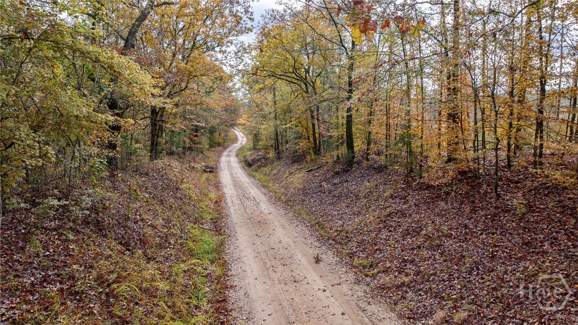 0 New Hope Vesta Road Carlton, GA 30627 - Photo 3 of 28