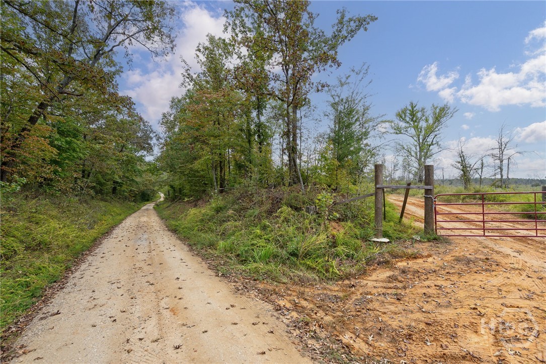 0 New Hope Vesta Road Carlton, GA 30627 - Photo 4 of 28