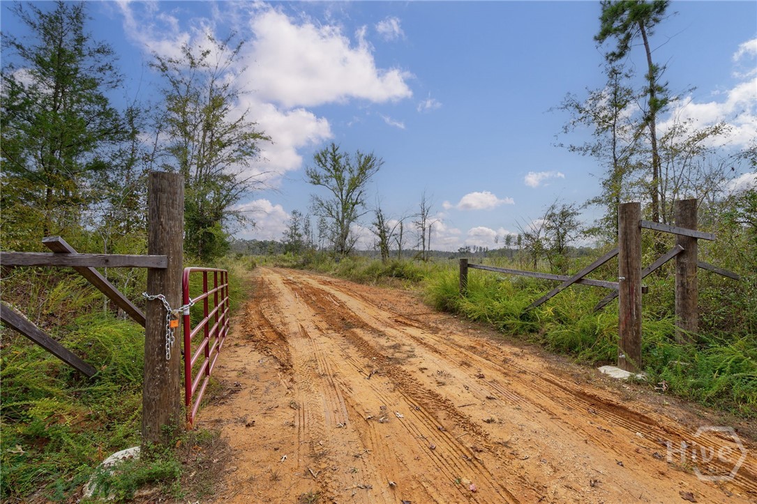 0 New Hope Vesta Road Carlton, GA 30627 - Photo 5 of 28