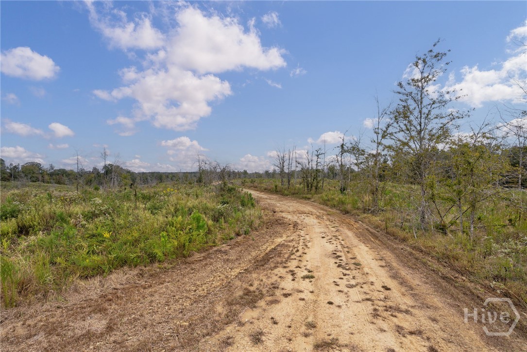 0 New Hope Vesta Road Carlton, GA 30627 - Photo 6 of 28