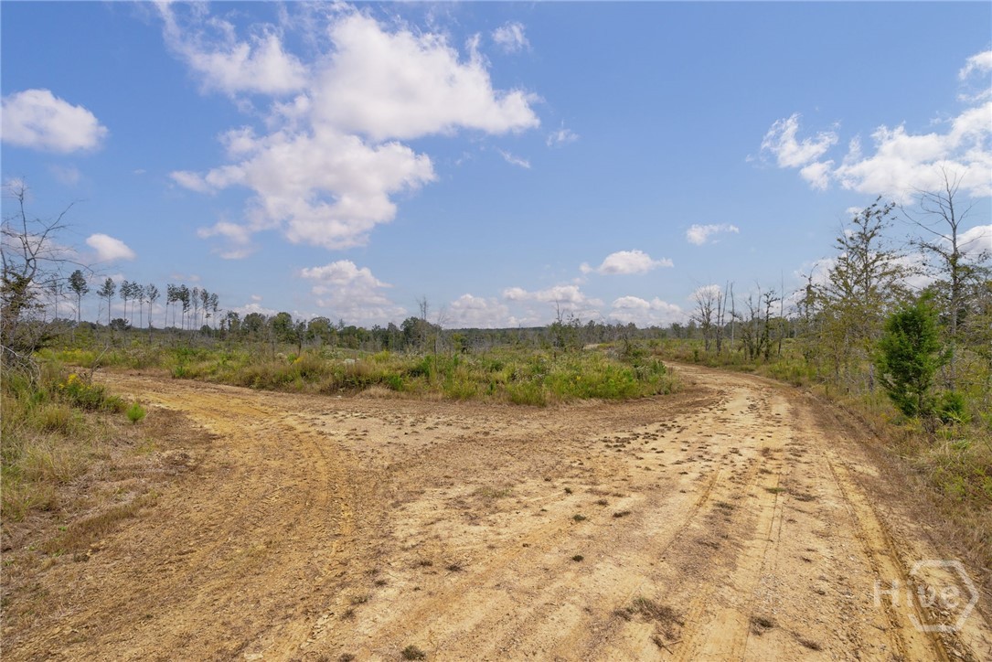 0 New Hope Vesta Road Carlton, GA 30627 - Photo 7 of 28