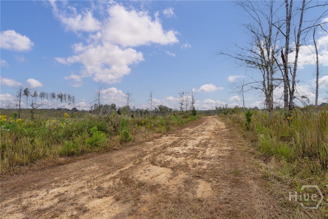 0 New Hope Vesta Road Carlton, GA 30627 - Photo 8 of 28