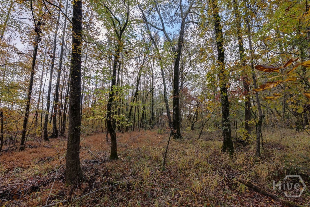 0 New Hope Vesta Road Carlton, GA 30627 - Photo 10 of 28