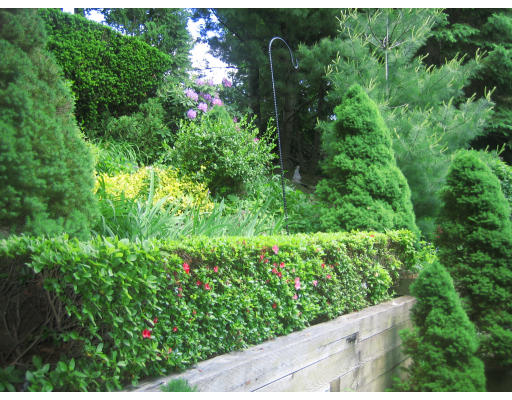 10 Sargent Road Winchester, MA 01890 - Photo 5 of 18 a view of a garden with plants