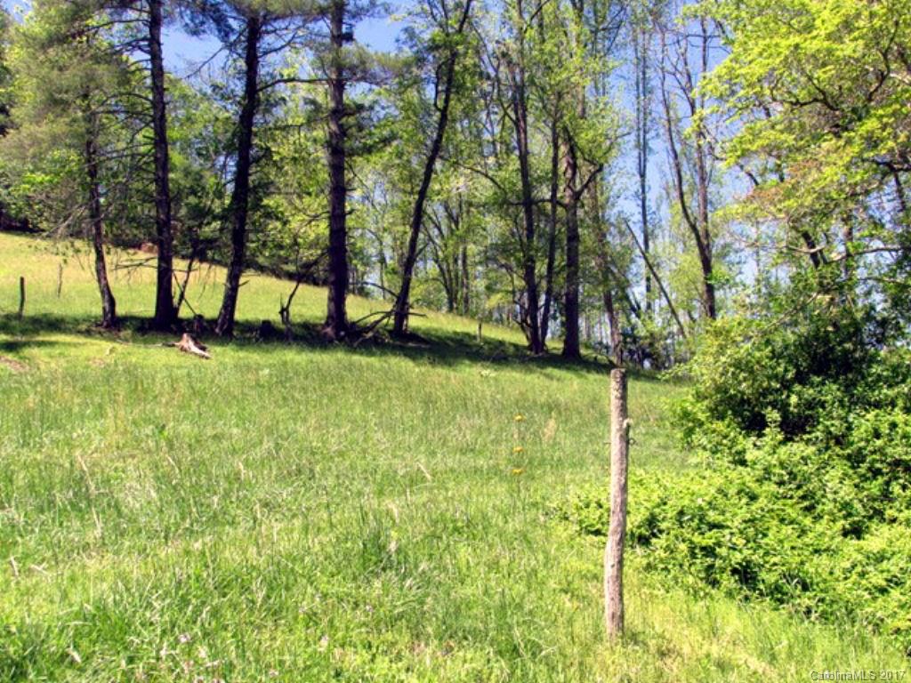 24 Roscoe Lewis Road Sylva, NC 28779 - Photo 4 of 17 Gallery Image 4
