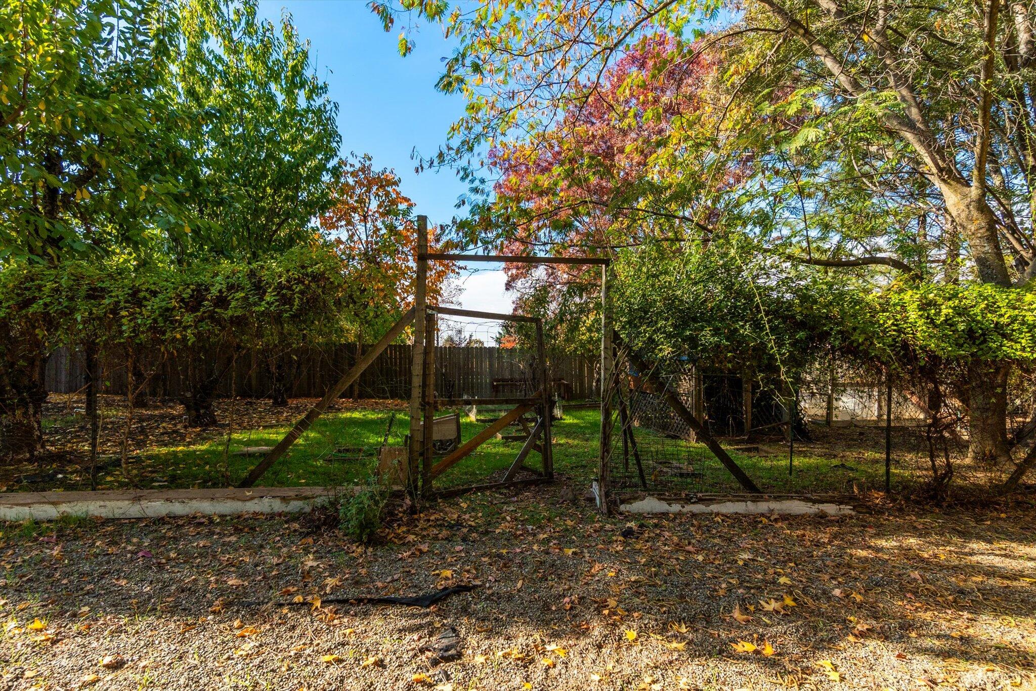 28449 Whippoorwill Circle Shingletown, CA 96088 - Photo 31 of 47 a view of a park with large trees