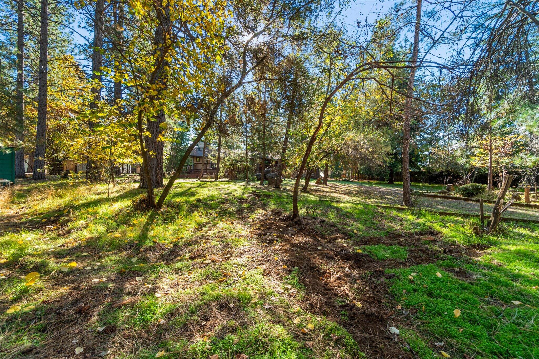 28449 Whippoorwill Circle Shingletown, CA 96088 - Photo 33 of 47 a view of outdoor space with deck and tree