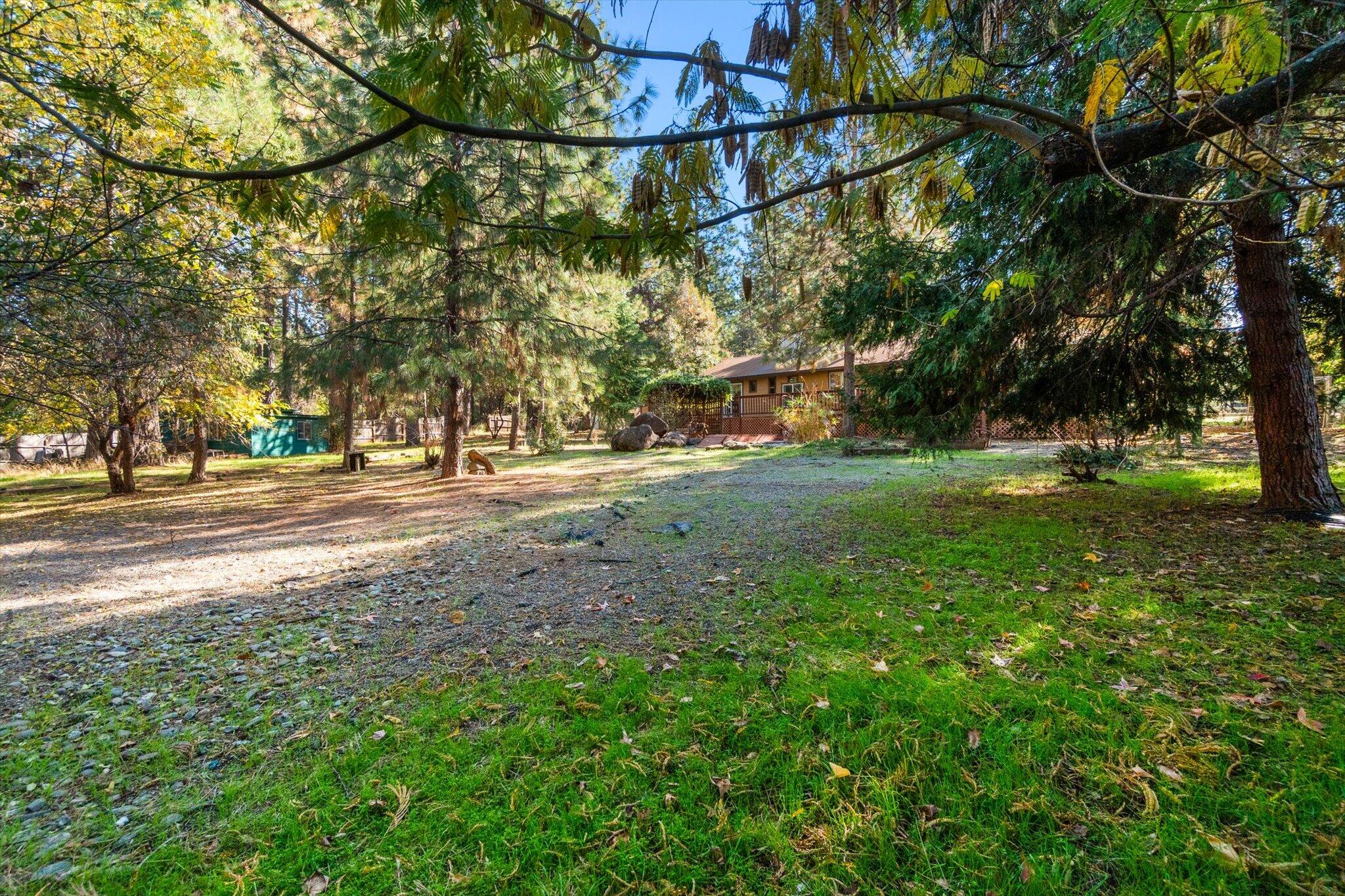 28449 Whippoorwill Circle Shingletown, CA 96088 - Photo 35 of 47 a backyard of a house with lots of green space and trees
