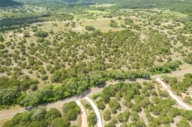 a view of a yard with a plant