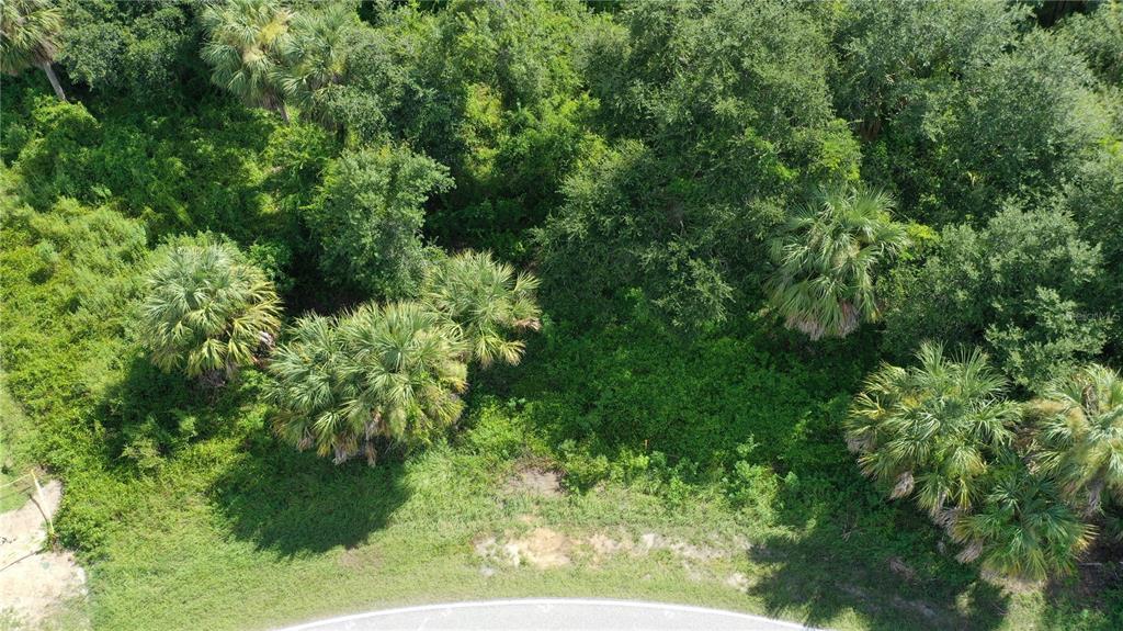 284 Hinton Street Port Charlotte, FL 33954 - Photo 15 of 16 a view of a garden