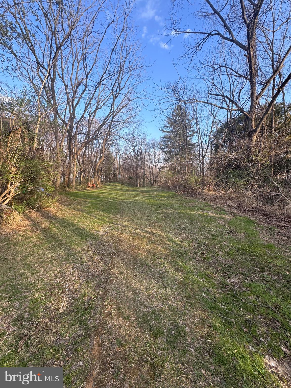 5124 Klee Mill Road South Sykesville, MD 21784 - Photo 11 of 11 a view of a field with large trees