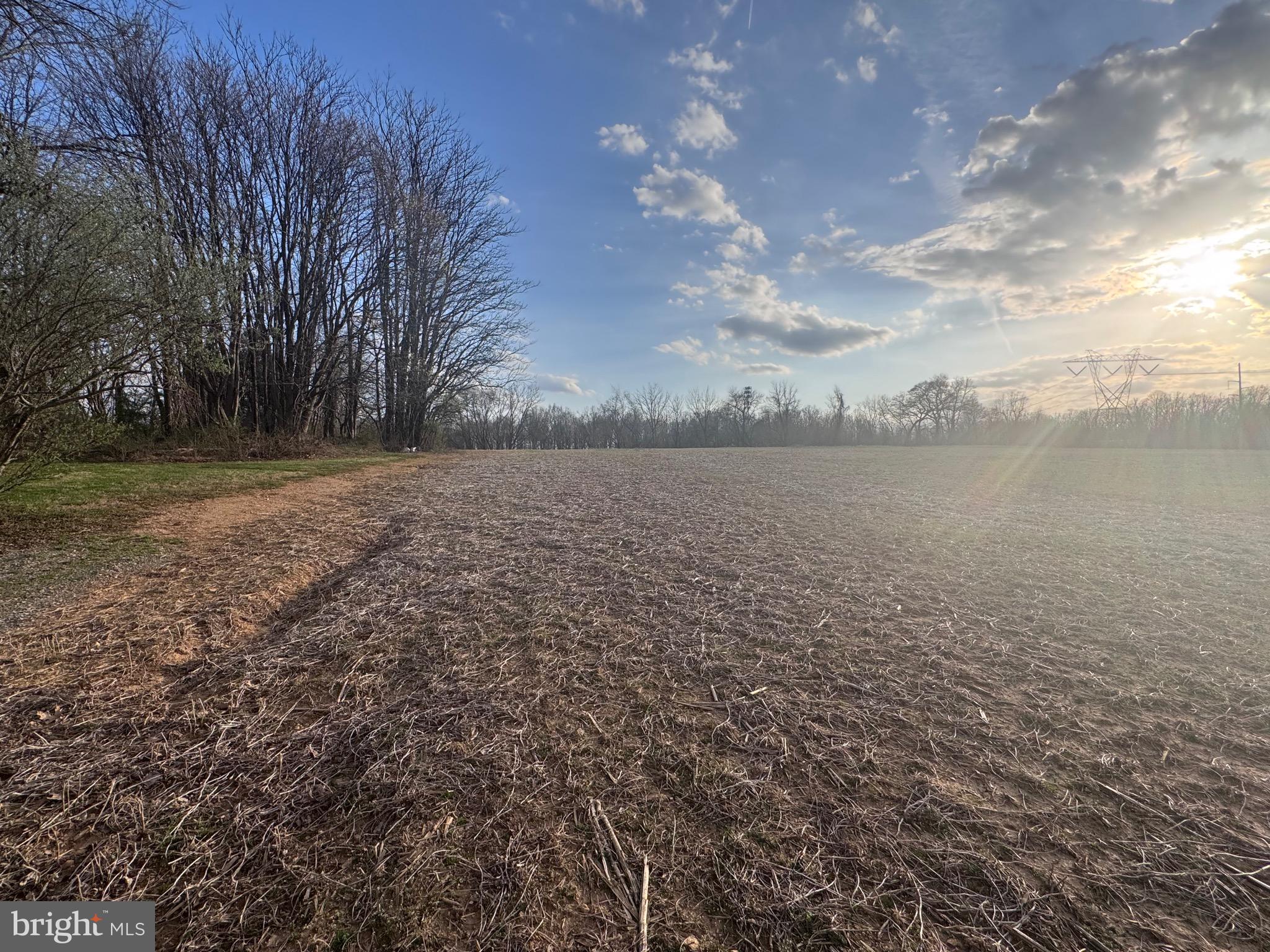 5124 Klee Mill Road South Sykesville, MD 21784 - Photo 3 of 11 a view of yard with large trees