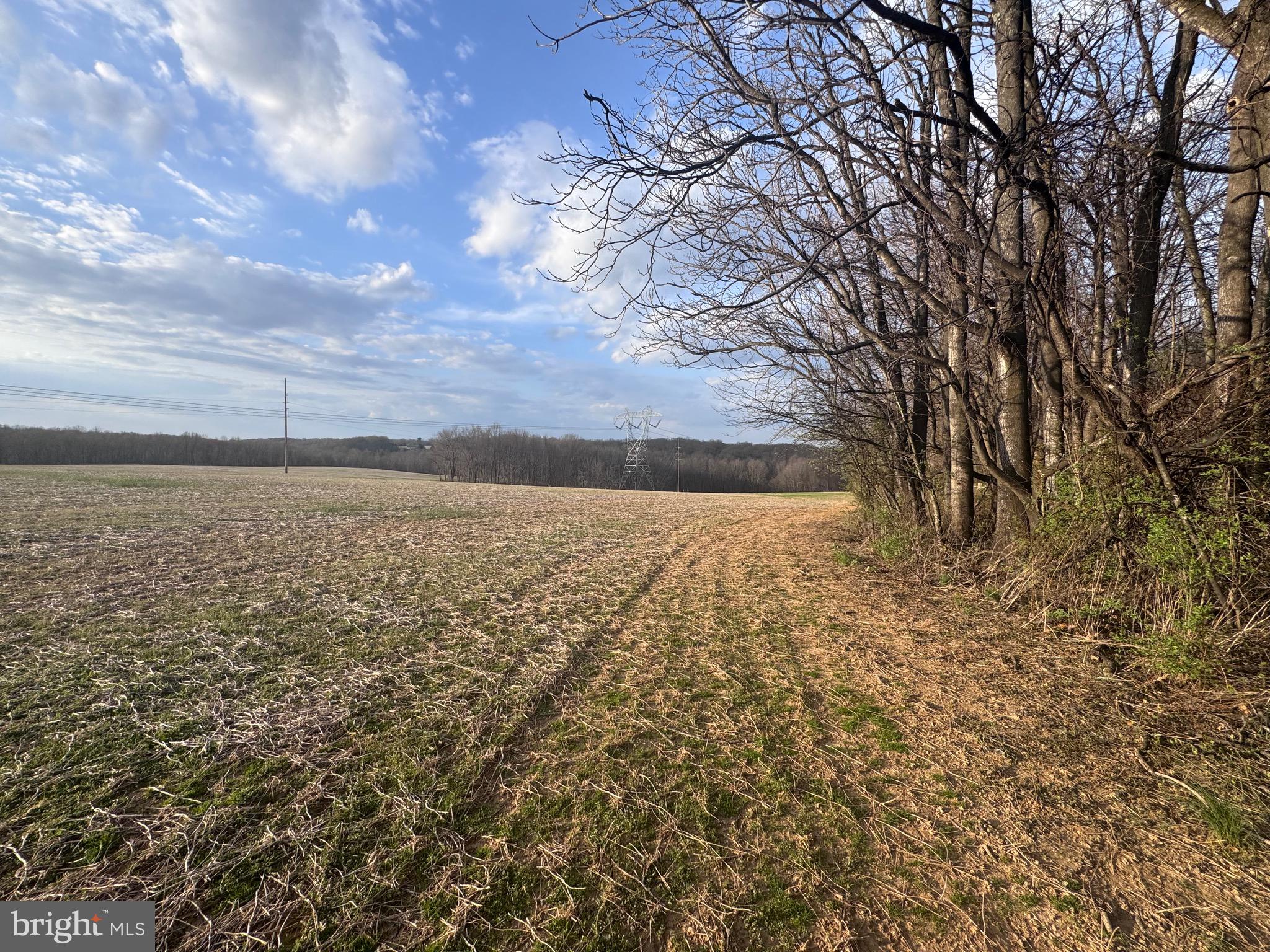 5124 Klee Mill Road South Sykesville, MD 21784 - Photo 10 of 11 a view of yard with ocean view