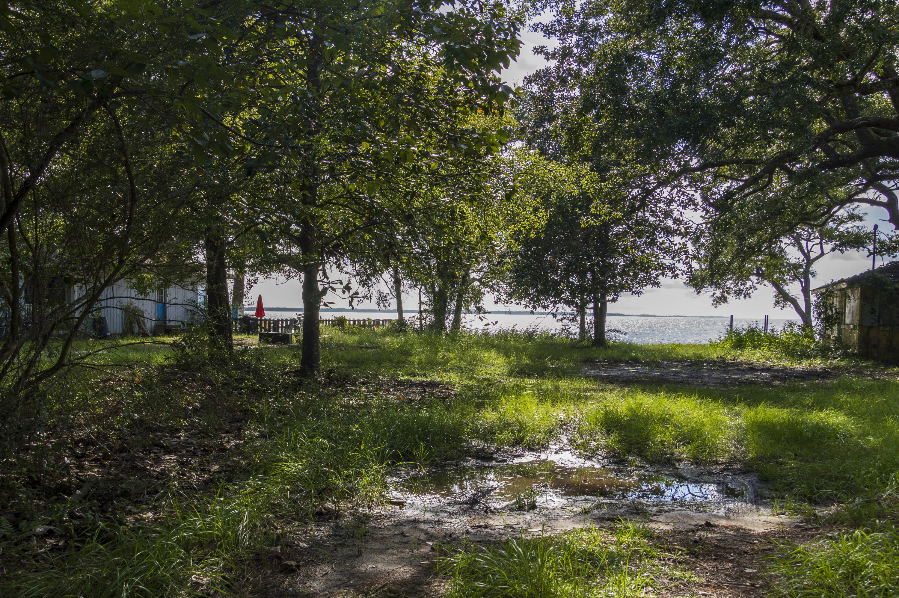 Lot 6-1 Bay Grove Road Freeport, FL 32439 - Photo 6 of 18 a view of a park with large trees