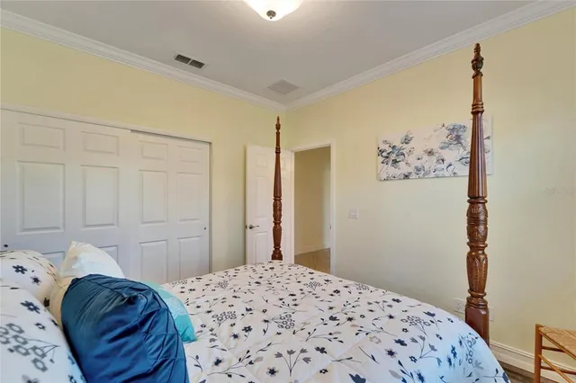 a view of a backyard with plants and a patio