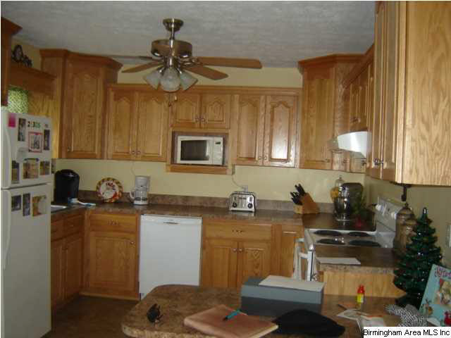 102 2nd Street Clanton, AL 35045 - Photo 3 of 19