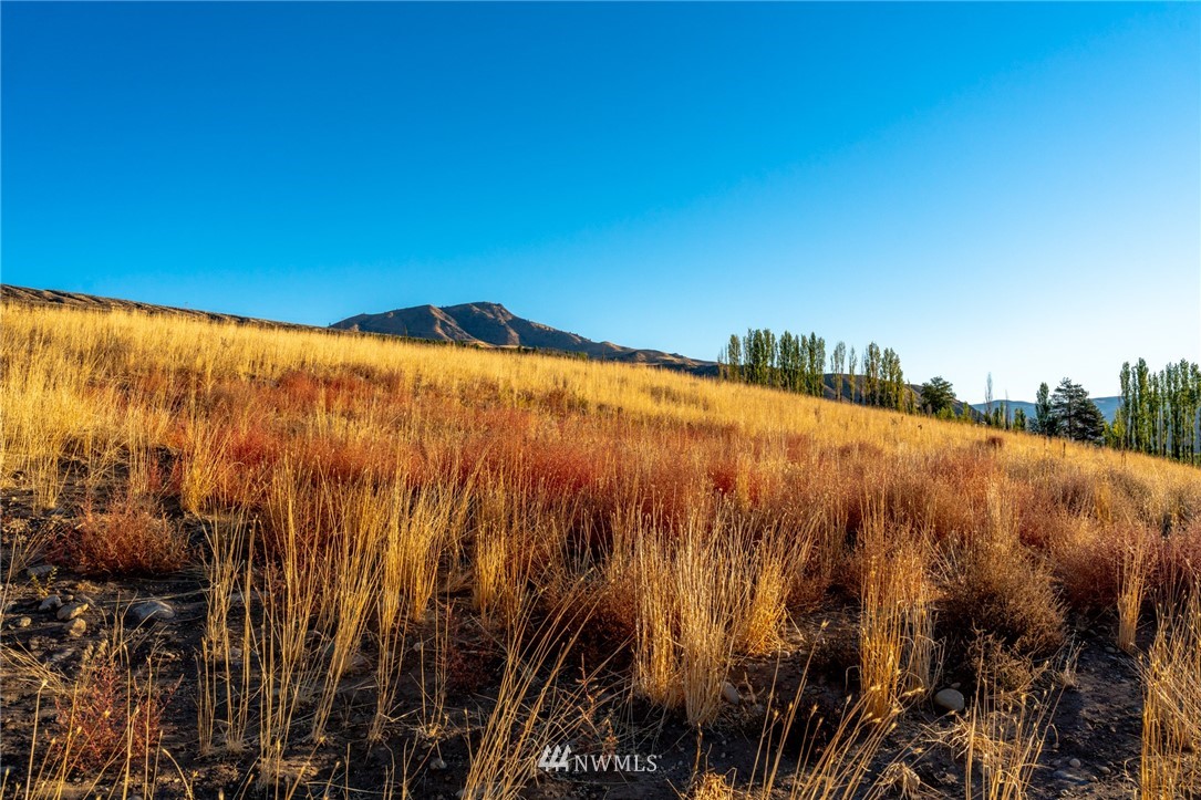 -lot E Stayman Flats Road Chelan, WA 98816 - Photo 10 of 13 Gallery Image 10