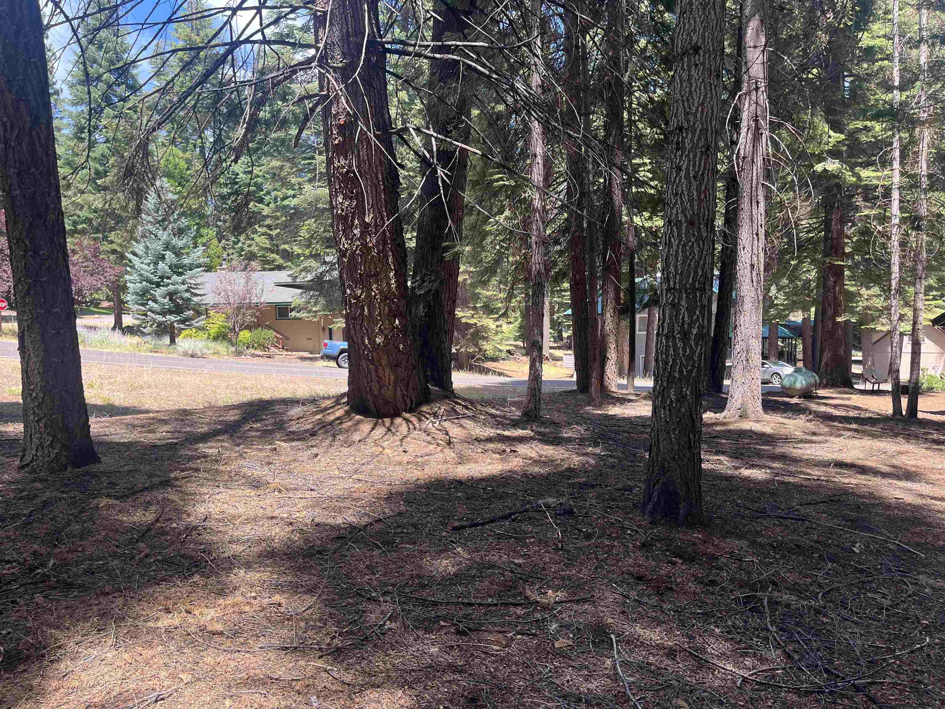 1160 Lake Ridge Road Lake Almanor, CA 96137 - Photo 2 of 9