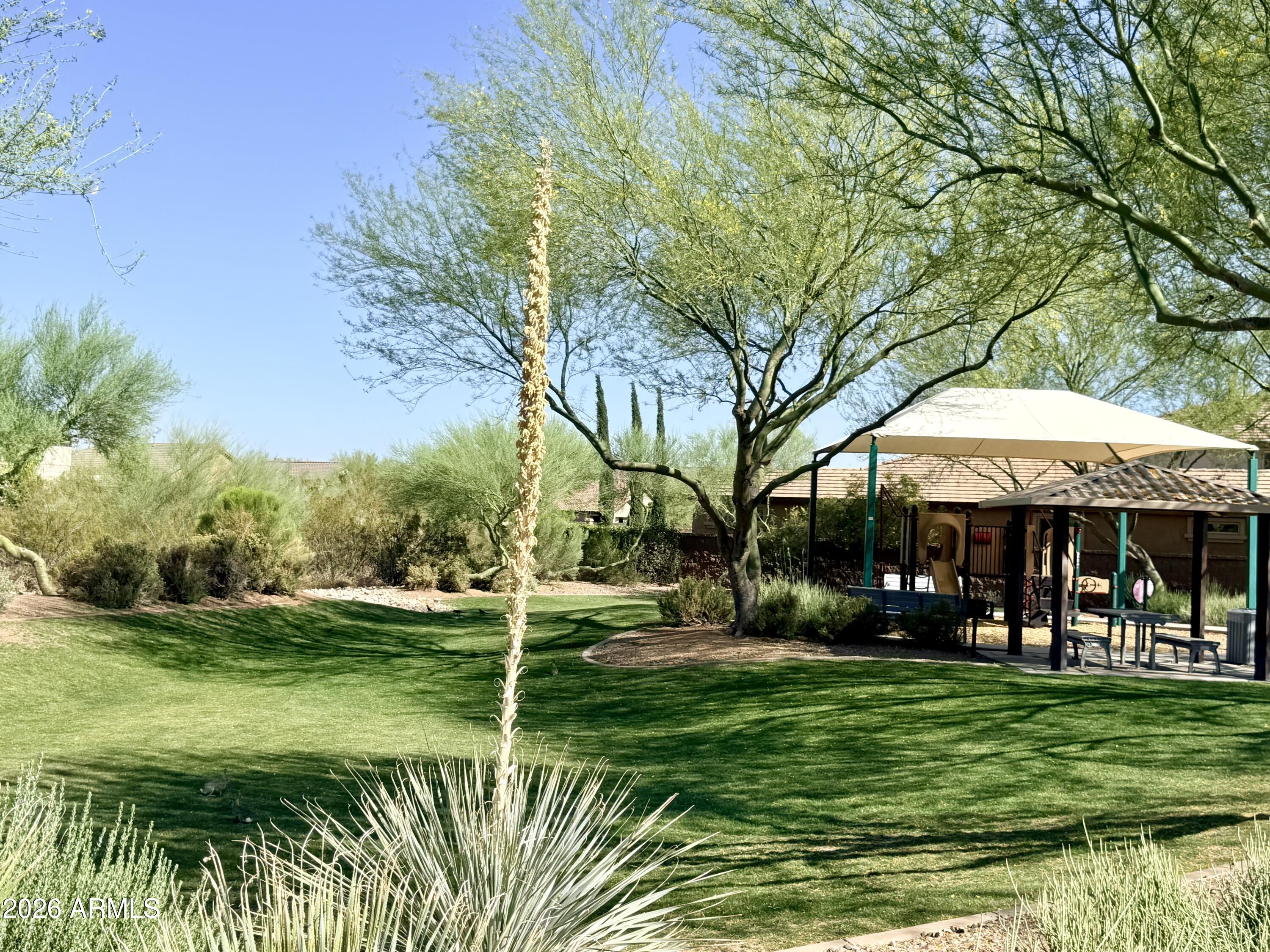 2539 West Rabjohn Road Phoenix, AZ 85085 - Photo 74 of 97 IMG_6949