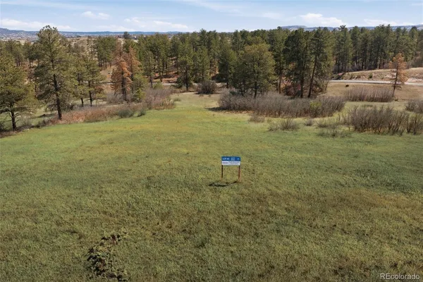 a view of a field with a tree in the background