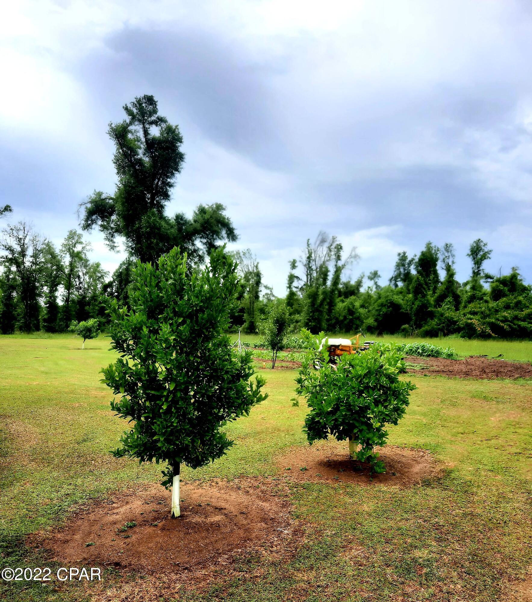 5302 Duncan Ridge Road Marianna, FL 32448 - Photo 28 of 37 Gallery Image 28